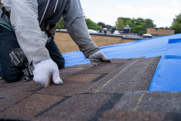 Best Roof Waterproofing Services  in Monterey, TN