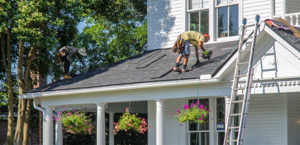 Best Roof Gutter Cleaning  in Monterey, TN